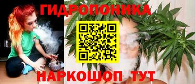 PSILOCYBIN Кингисепп