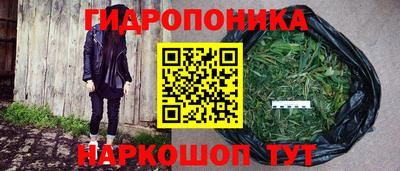 PSILOCYBIN Кингисепп