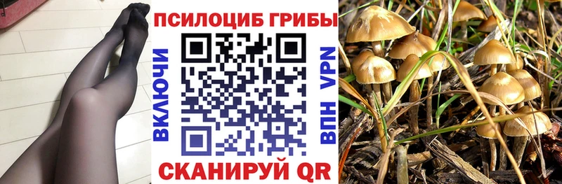 Галлюциногенные грибы Cubensis даркнет сайт Красноярск