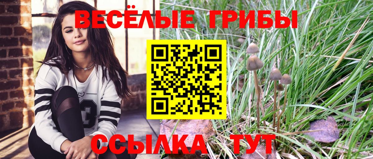 Красноярск  Псилоцибиновые грибы Magic Shrooms  Вход с VPN 