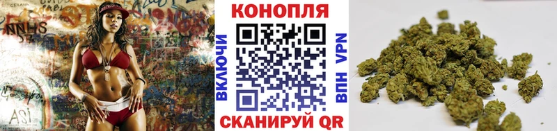 omg как зайти  цены   Красноярск  МАРИХУАНА ГИДРОПОН 